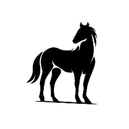 Obóz w stadninie koni Żarnowo